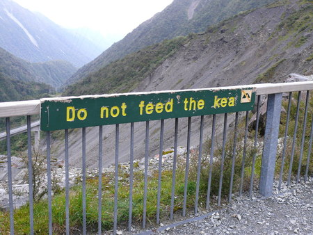 gal/Escapades/Nova_Zelanda/Illa_Sud/Illa_Sud138.jpg
