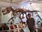 gal/New_York/Museum_of_Natural_History/_thb_American_Museum_of_Natural_History004.jpg