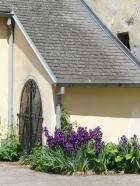 gal/Viena/Visites/Biel_i_Magdalena/Neusiedler_see/_thb_Foto_2008-05-03_13_54_26-000039.jpg